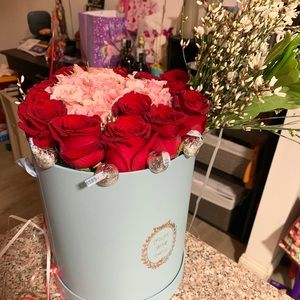 Meet your Posher, Daisy